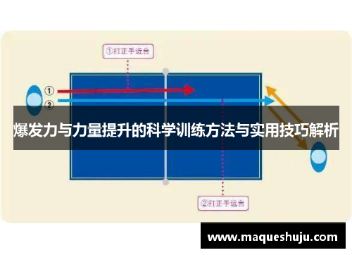 爆发力与力量提升的科学训练方法与实用技巧解析