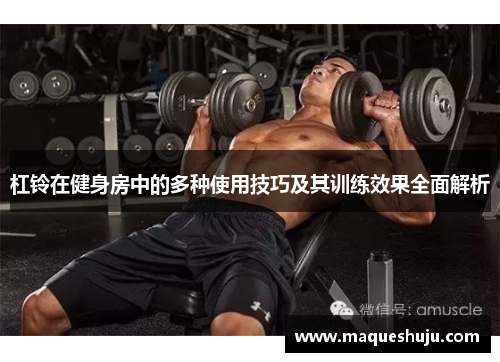 杠铃在健身房中的多种使用技巧及其训练效果全面解析