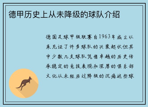 德甲历史上从未降级的球队介绍